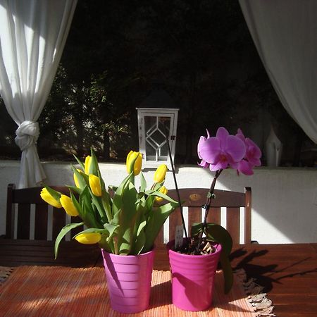 Apartment Villa Holiday II Póla Kültér fotó