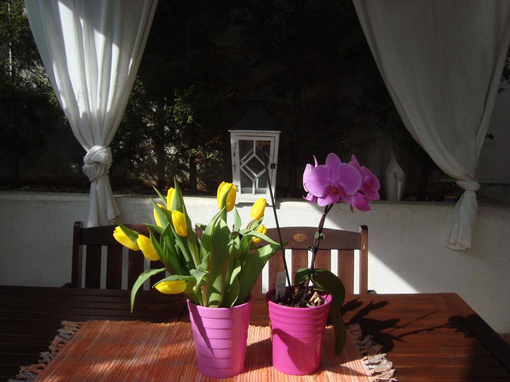 Apartment Villa Holiday II Póla Kültér fotó